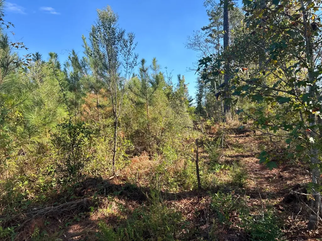 0 Rose Hill Road Rose Hill AL 35578