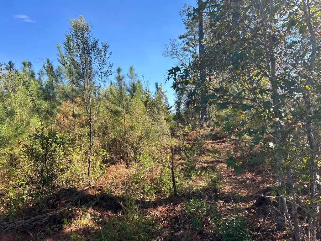 0 Rose Hill Road Rose Hill AL 35578