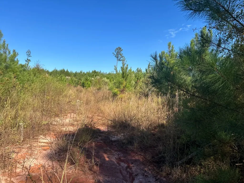 0 Rose Hill Road Rose Hill AL 35578