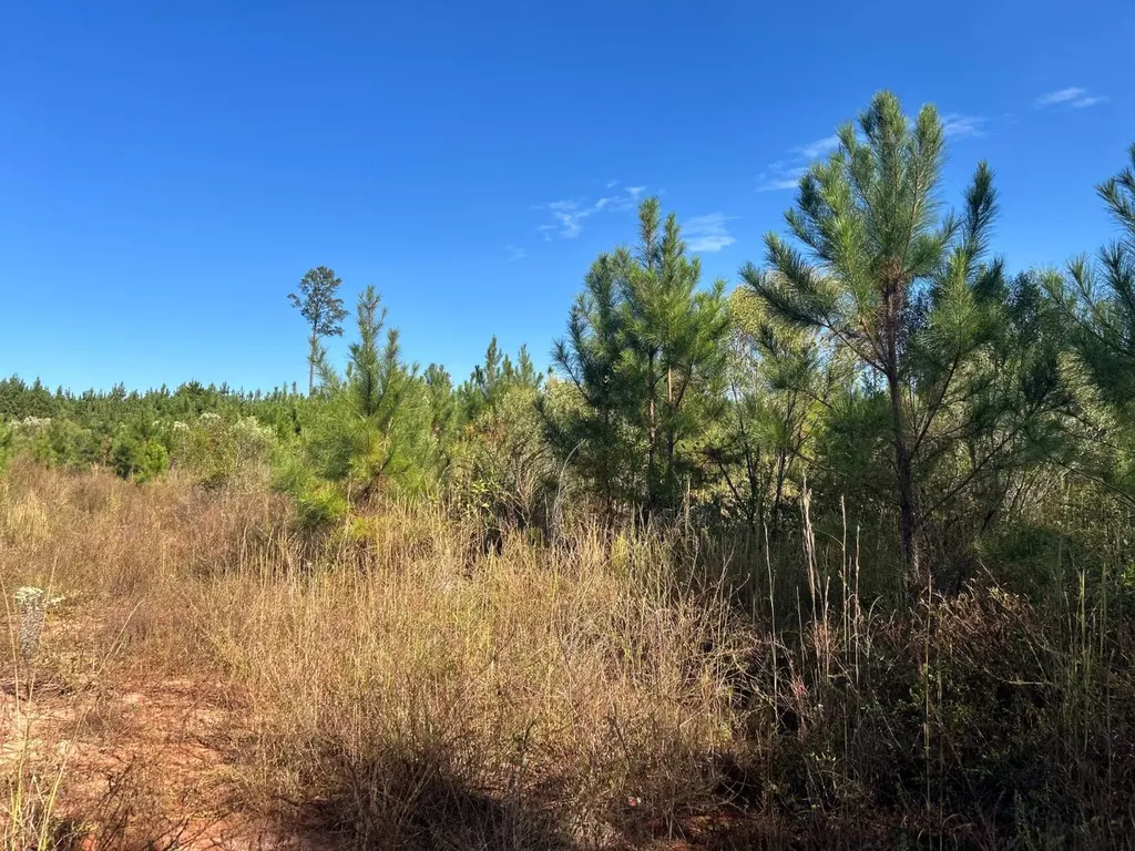 0 Rose Hill Road Rose Hill AL 35578