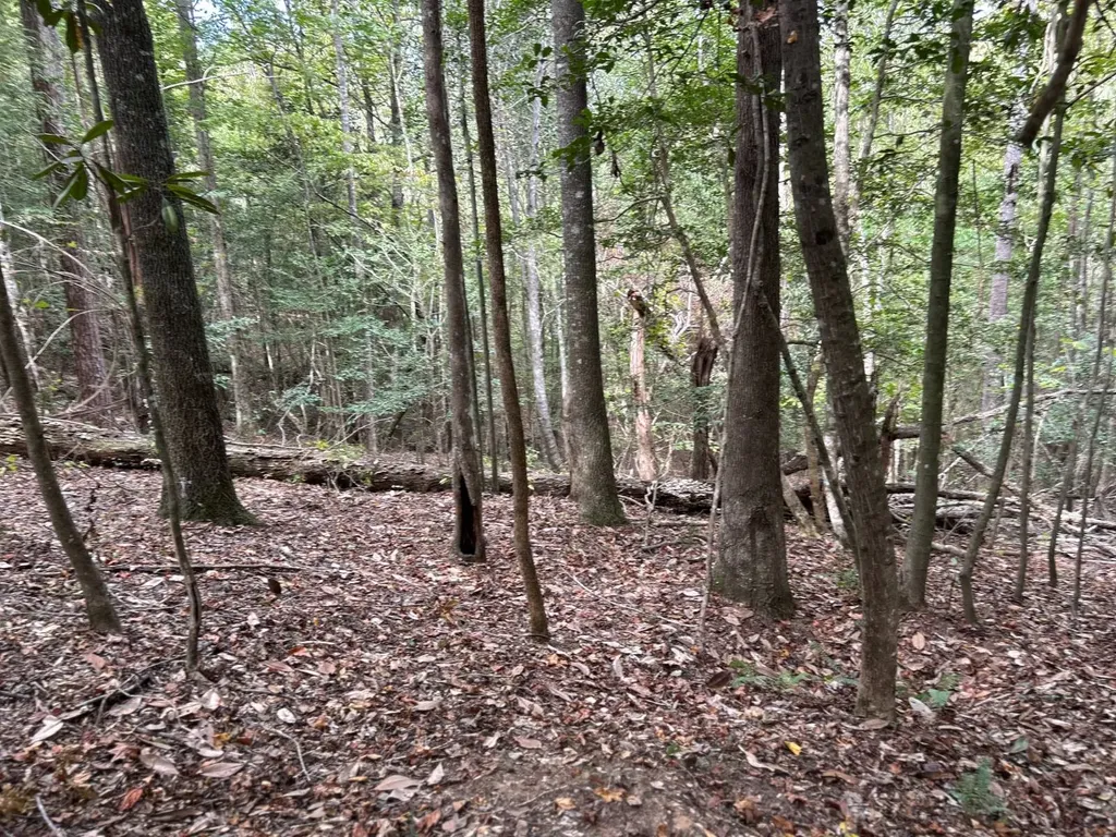 0 Rose Hill Road Rose Hill AL 35578