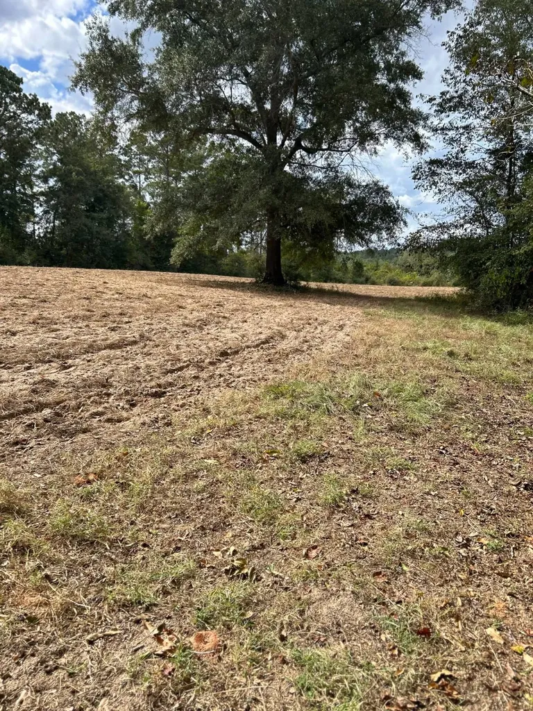 0 Rose Hill Road Rose Hill AL 35578