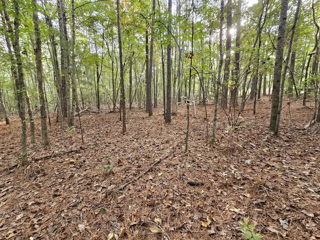 0 County Road 2 Hamilton AL 35570