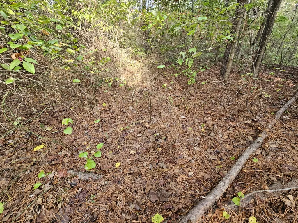 0 County Road 2 Hamilton AL 35570