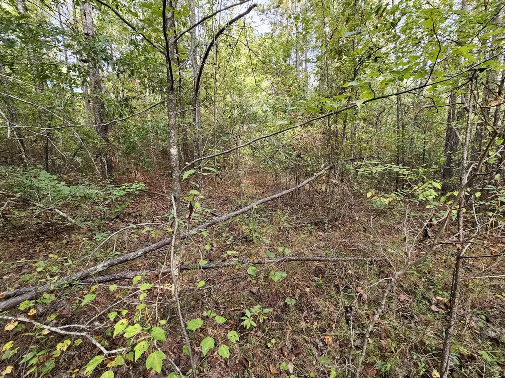 0 County Road 2 Hamilton AL 35570