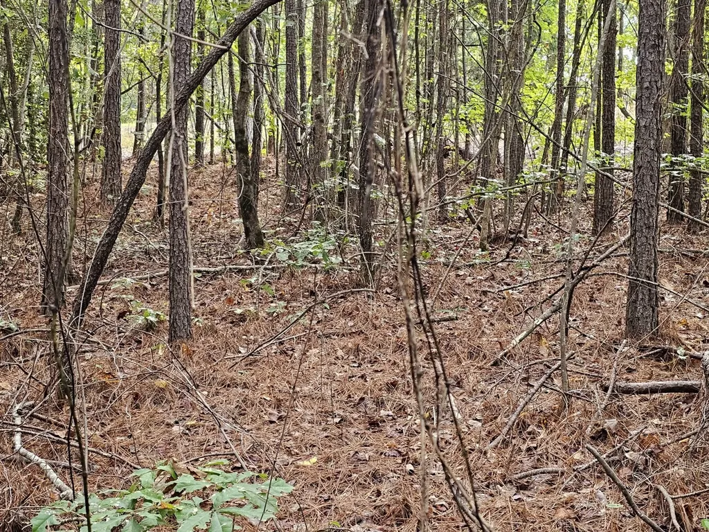 0 County Road 2 Hamilton AL 35570