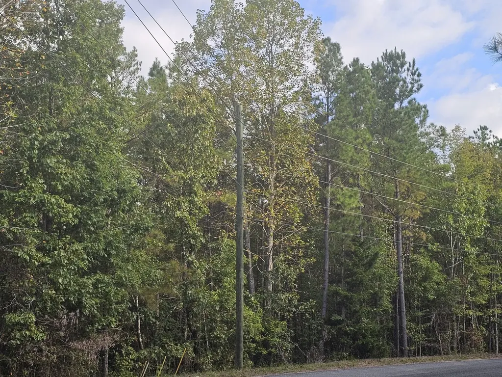 0 County Road 2 Hamilton AL 35570