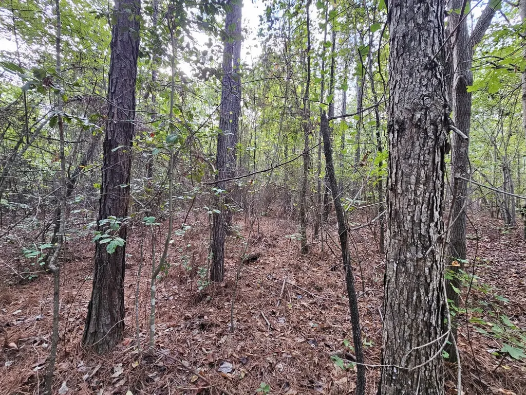 0 County Road 2 Hamilton AL 35570