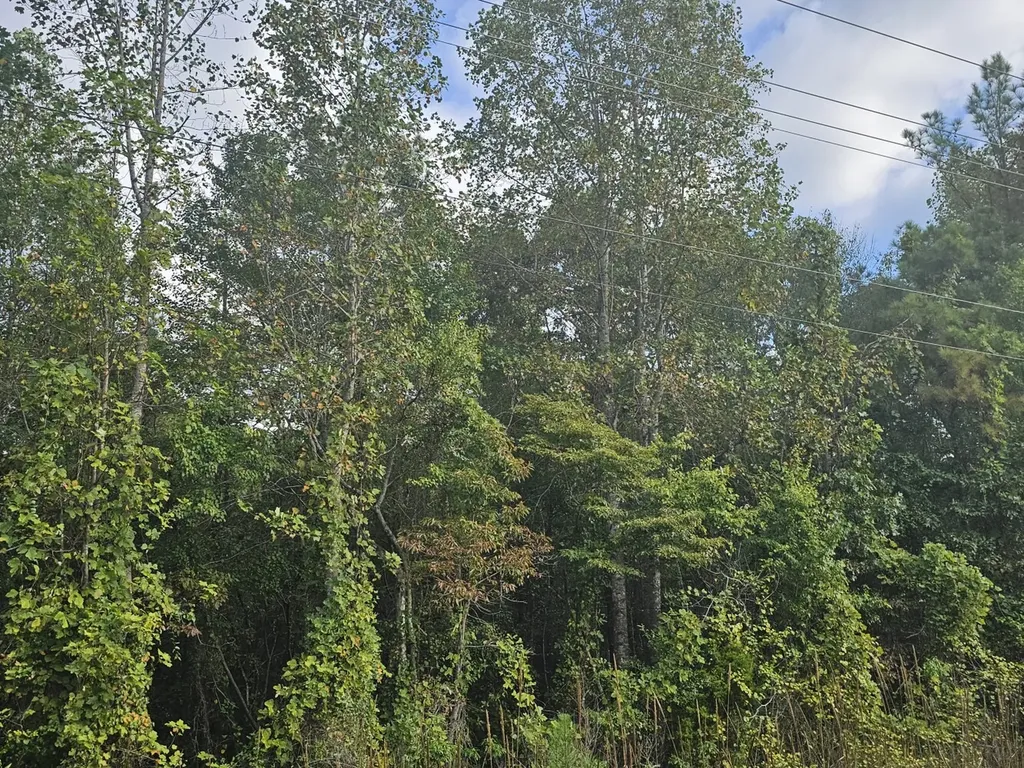 0 County Road 2 Hamilton AL 35570