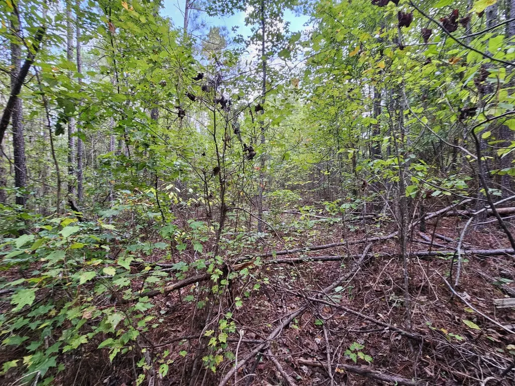 0 County Road 2 Hamilton AL 35570