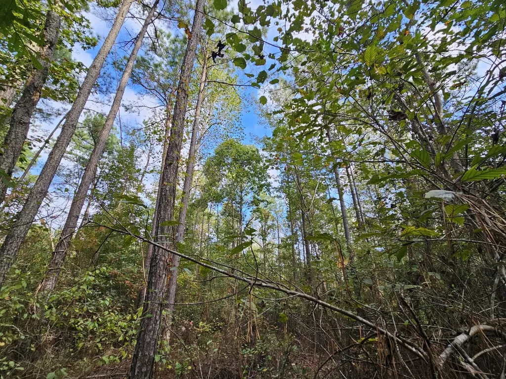 0 County Road 2 Hamilton AL 35570