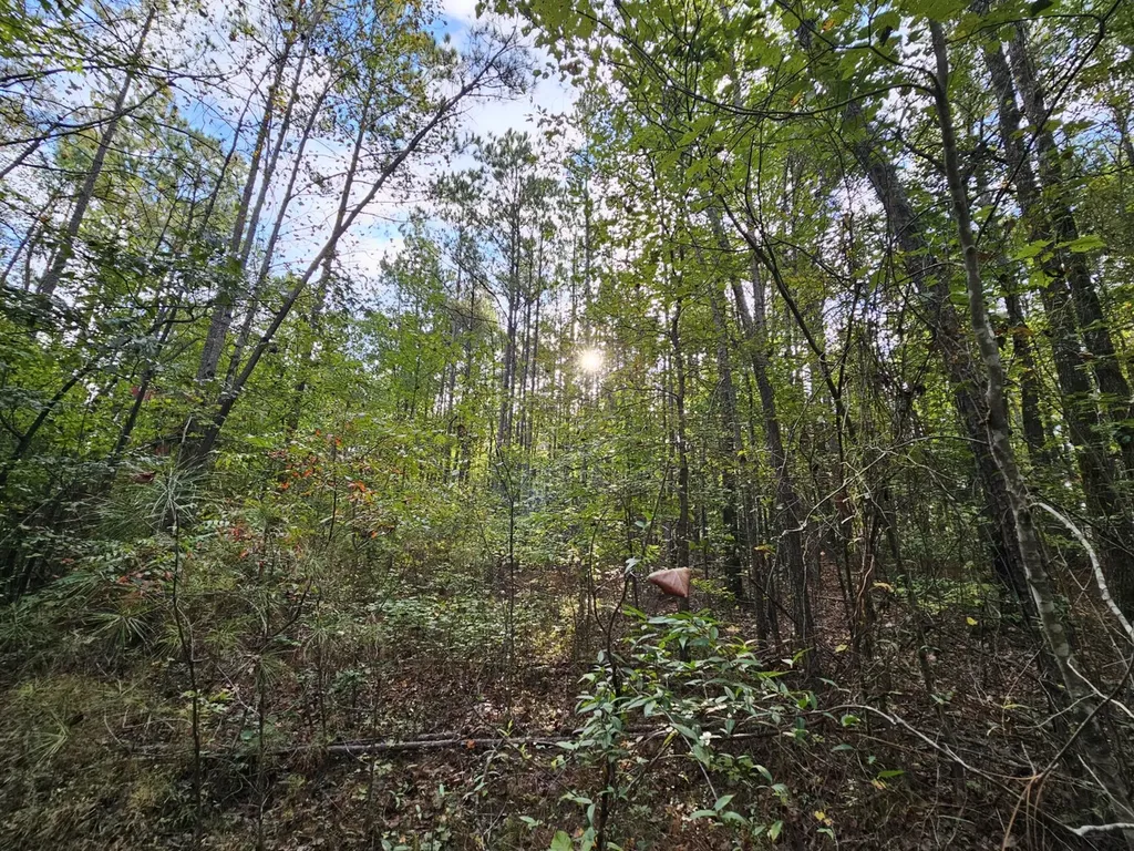 0 County Road 2 Hamilton AL 35570