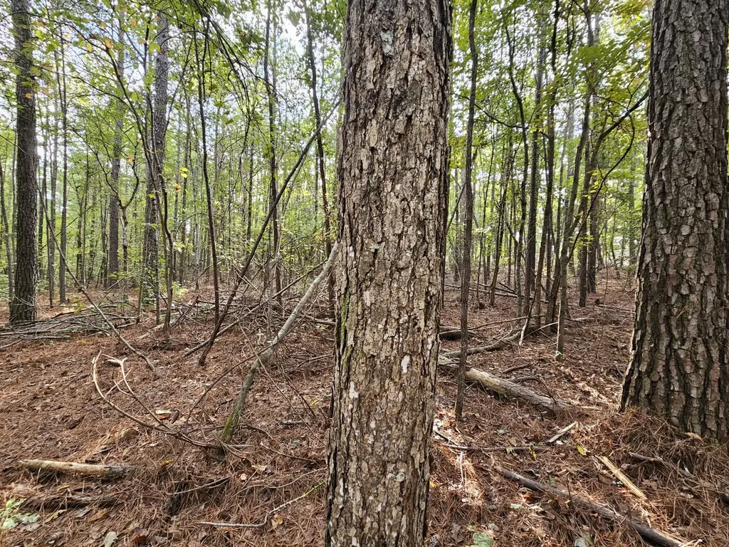 0 County Road 2 Hamilton AL 35570