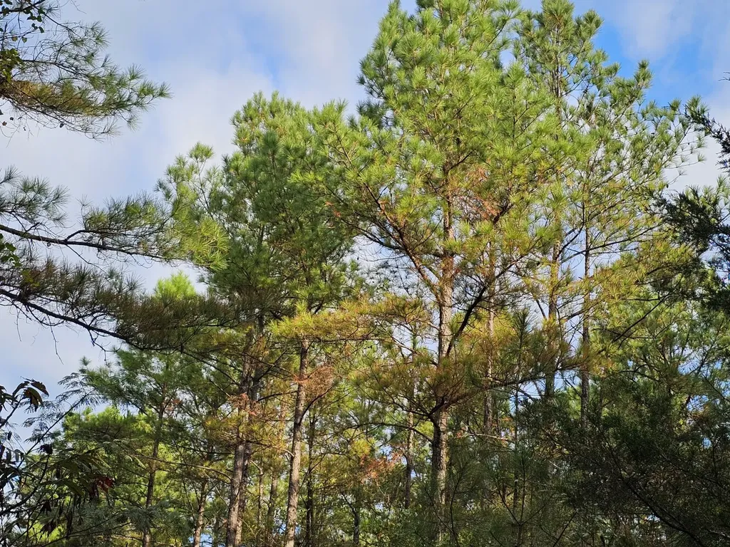 0 County Road 2 Hamilton AL 35570