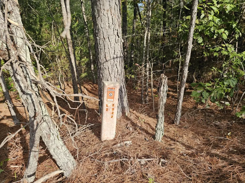 0 County Road 2 Hamilton AL 35570