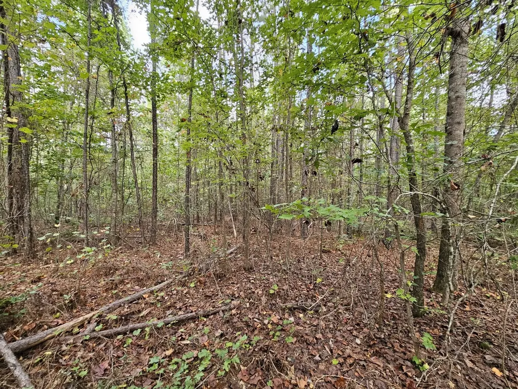 0 County Road 2 Hamilton AL 35570