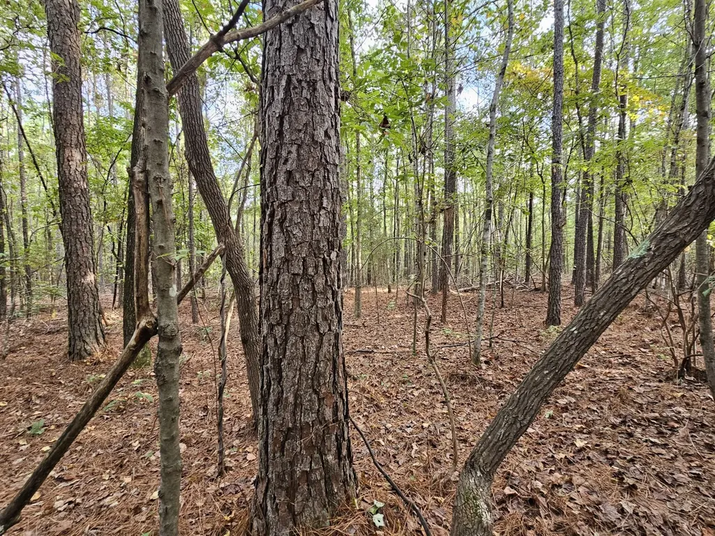 0 County Road 2 Hamilton AL 35570