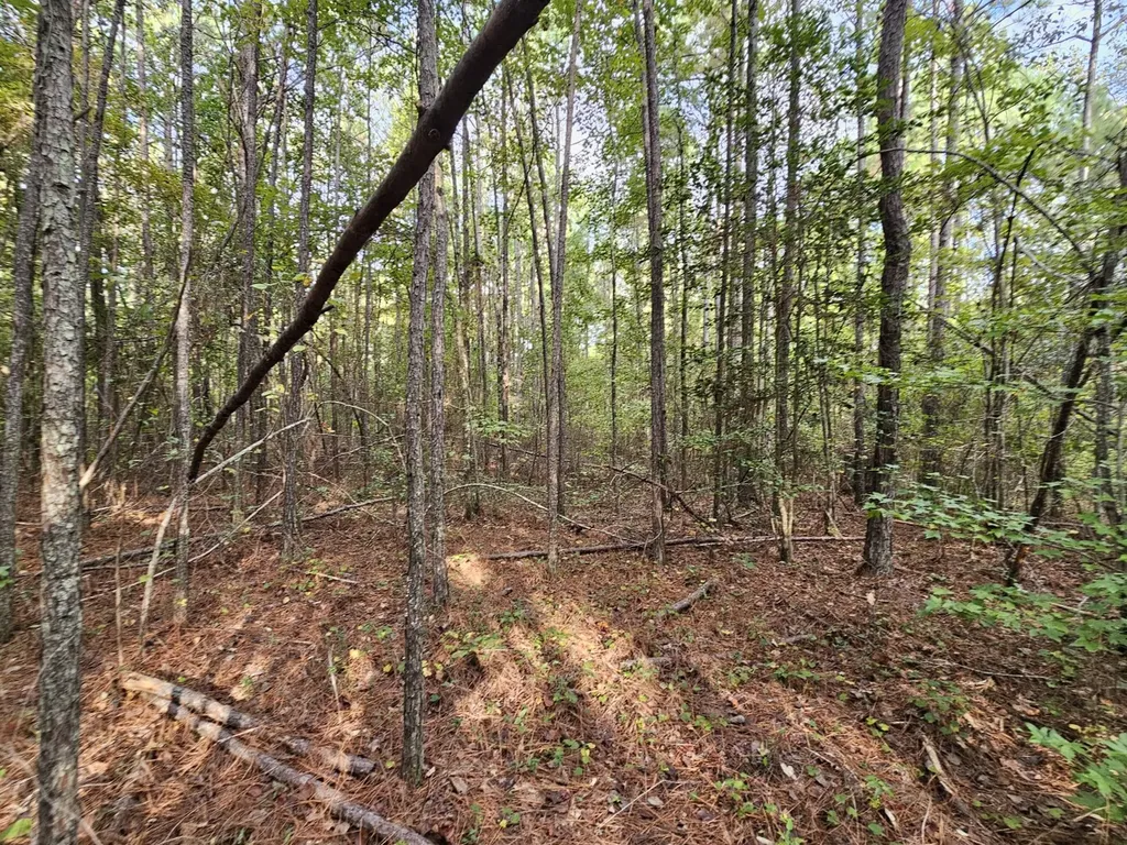 0 County Road 2 Hamilton AL 35570