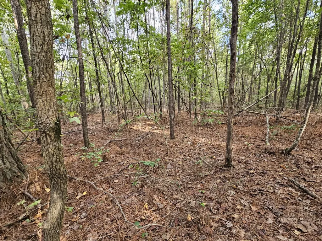 0 County Road 2 Hamilton AL 35570