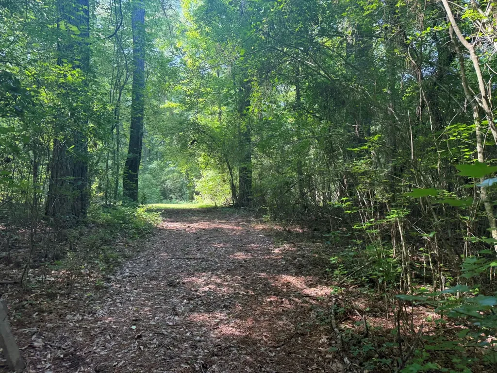 00 River Road Sipsey AL 35584
