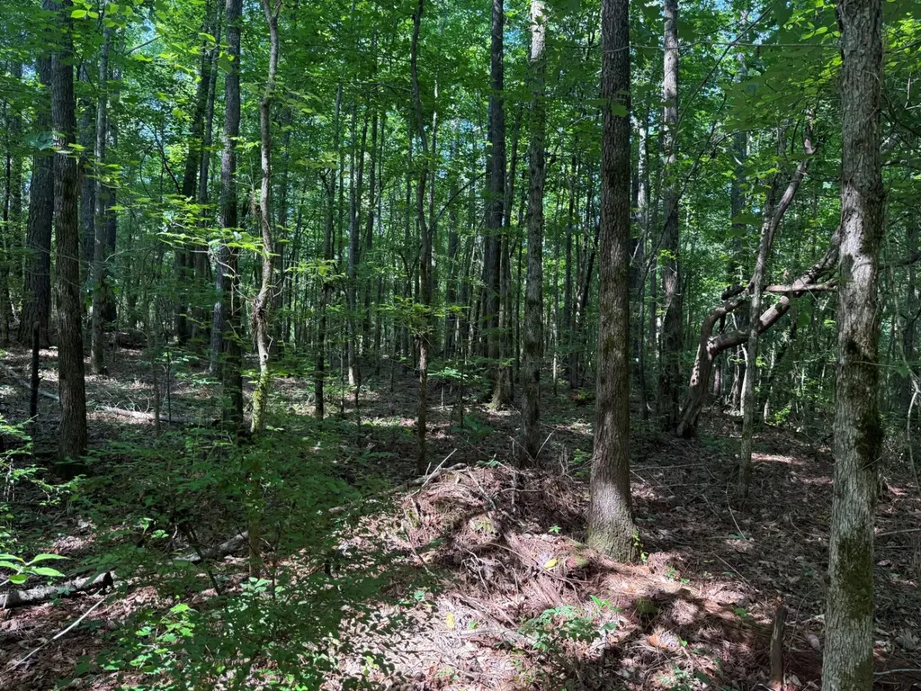 00 River Road Sipsey AL 35584