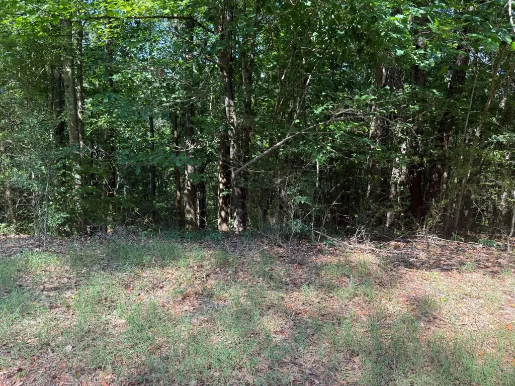 00 River Road Sipsey AL 35584