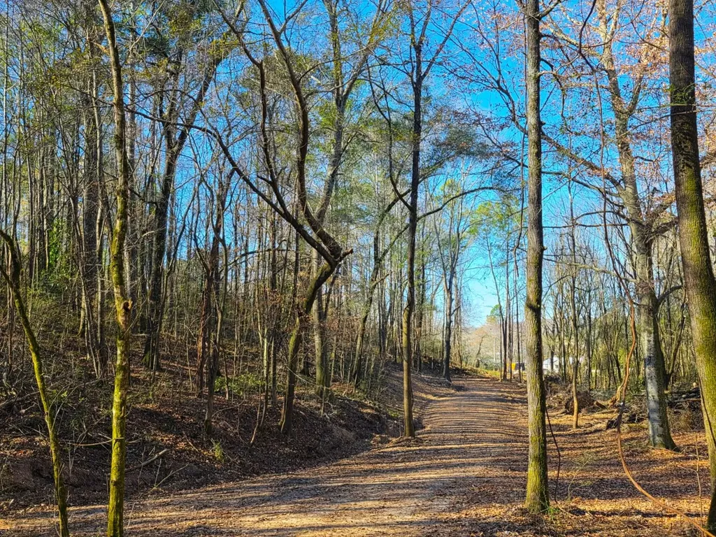 0 Lee Street Blountsville AL 35013