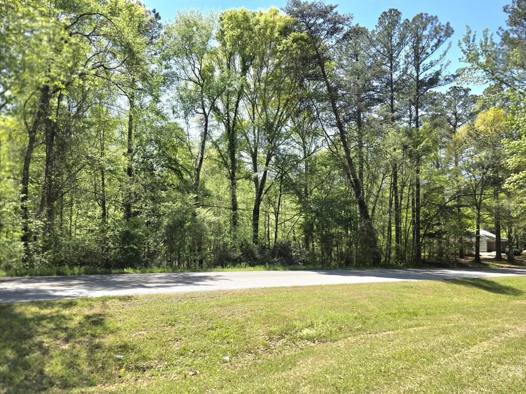 0 Lee Street Blountsville AL 35013