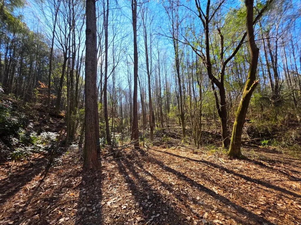 0 Lee Street Blountsville AL 35013