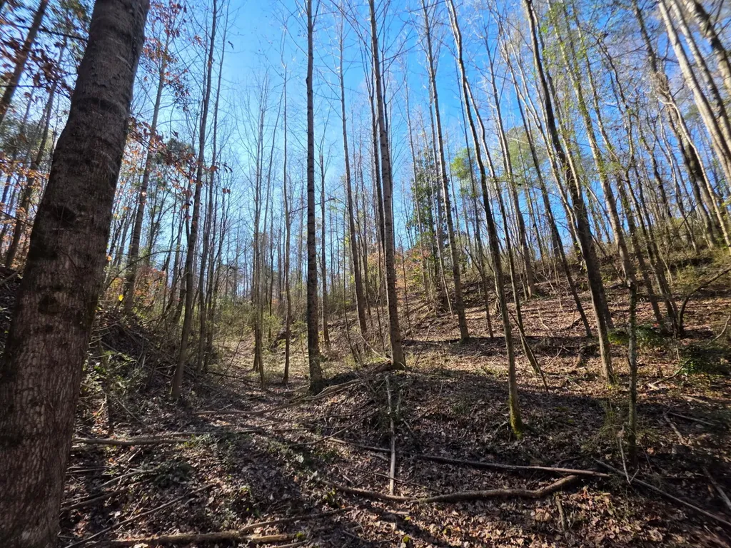 0 Lee Street Blountsville AL 35013