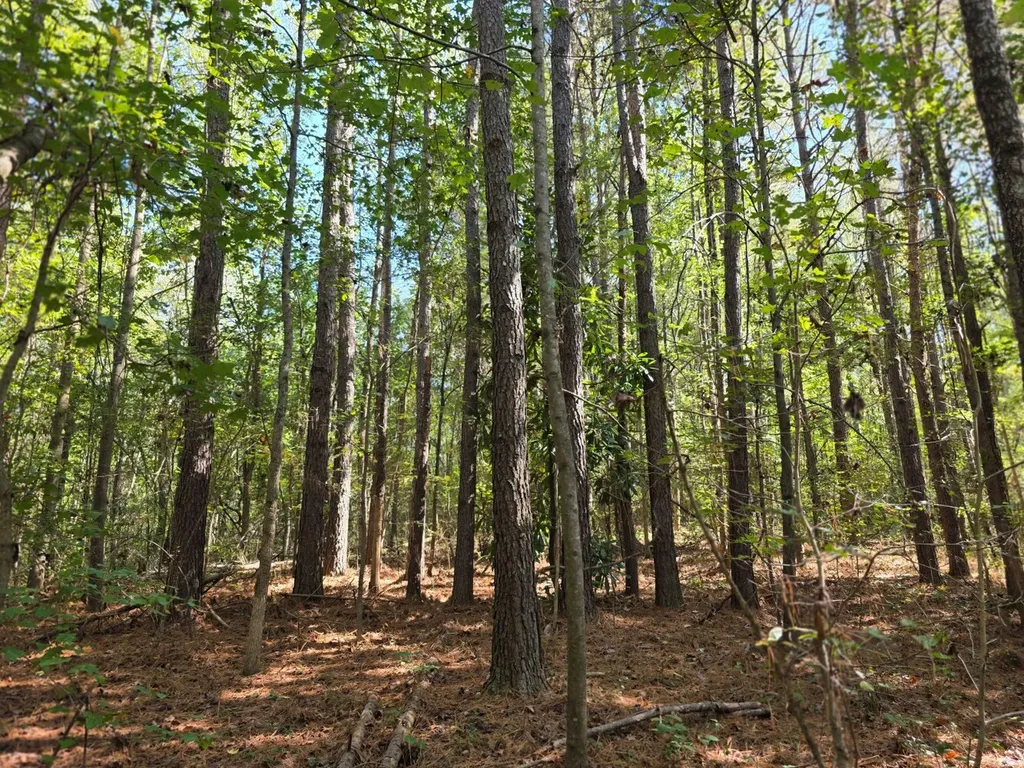 0 Lee Street Blountsville AL 35013