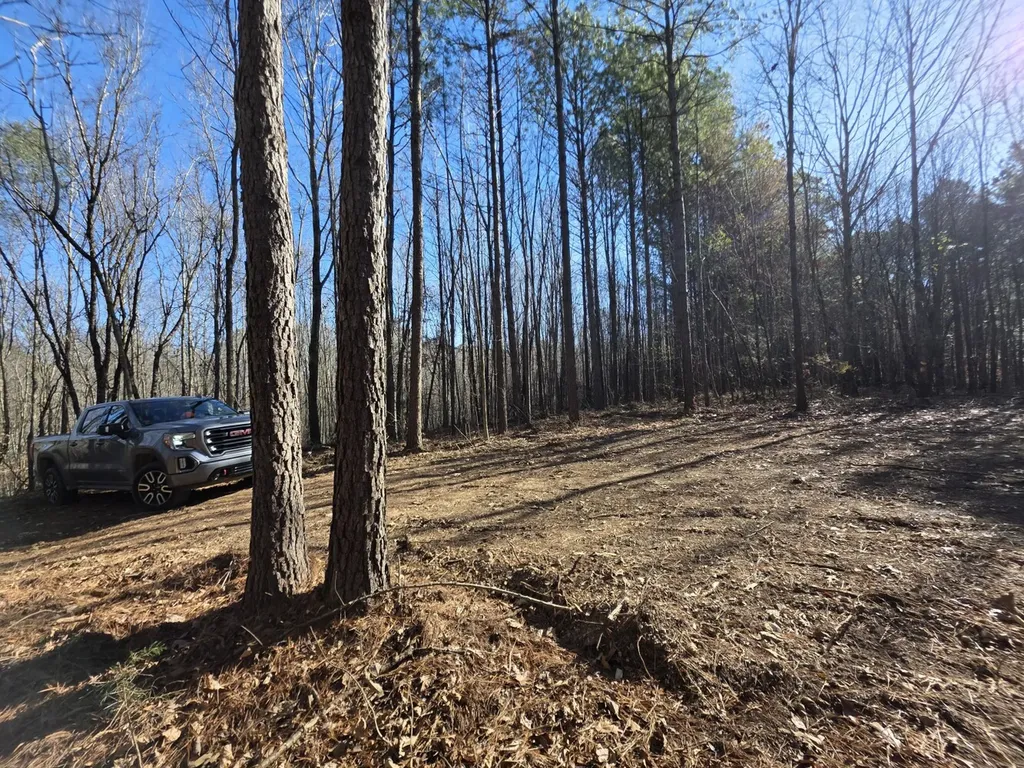 0 Lee Street Blountsville AL 35013