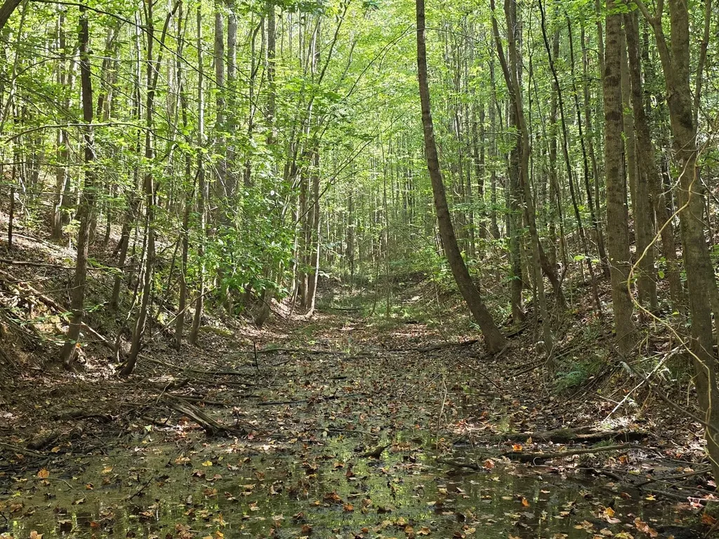 0 Lee Street Blountsville AL 35013