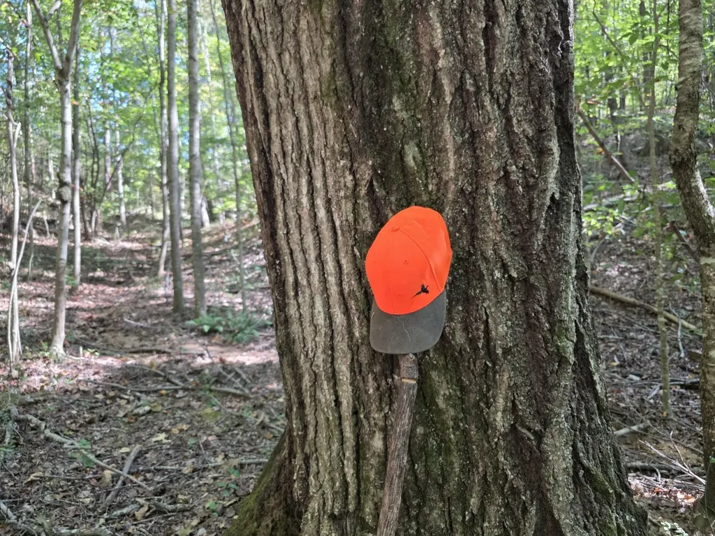 0 Lee Street Blountsville AL 35013