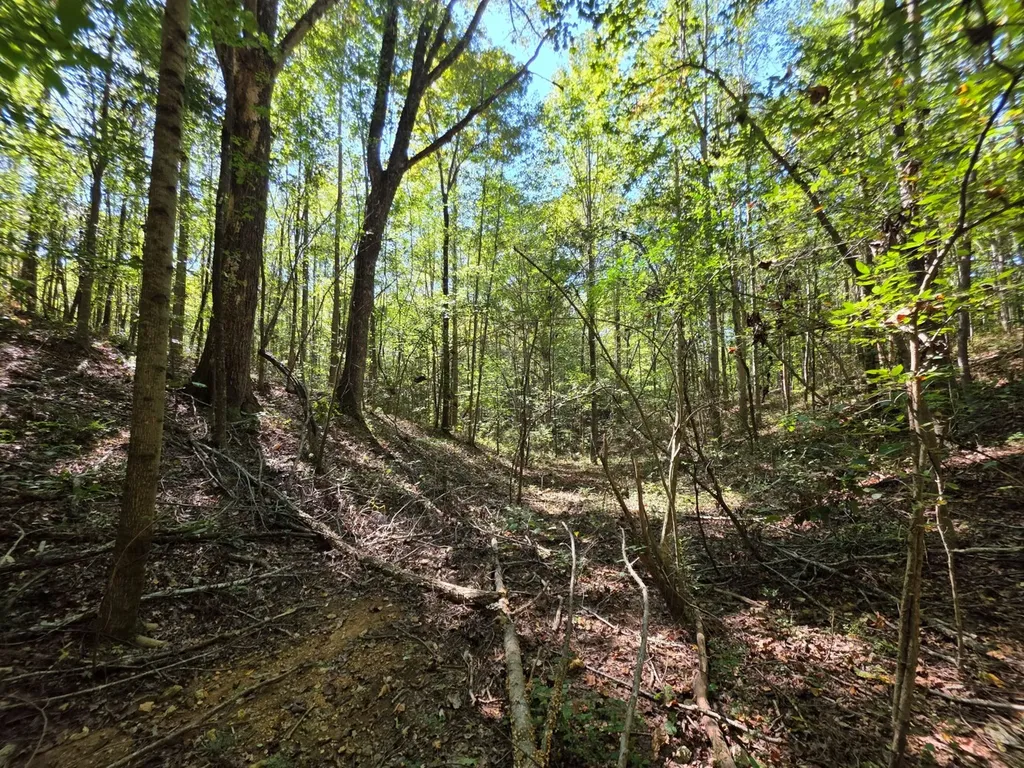 0 Lee Street Blountsville AL 35013