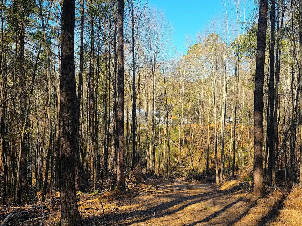 0 Lee Street Blountsville AL 35013