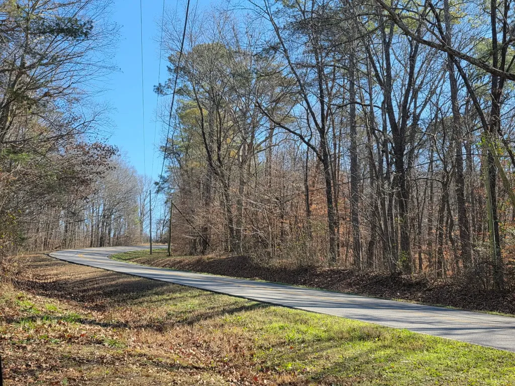0 Lee Street Blountsville AL 35013