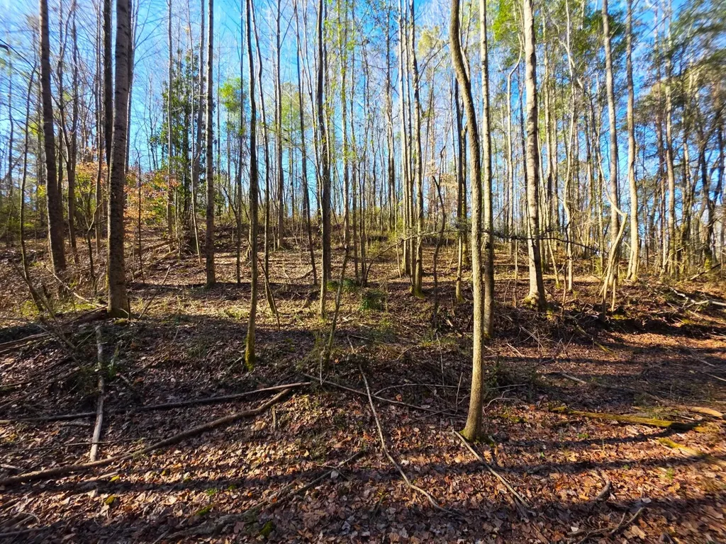 0 Lee Street Blountsville AL 35013