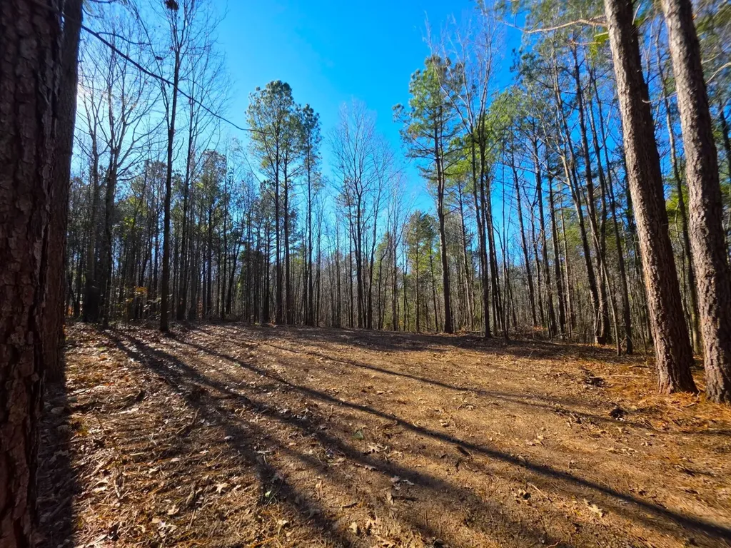 0 Lee Street Blountsville AL 35013