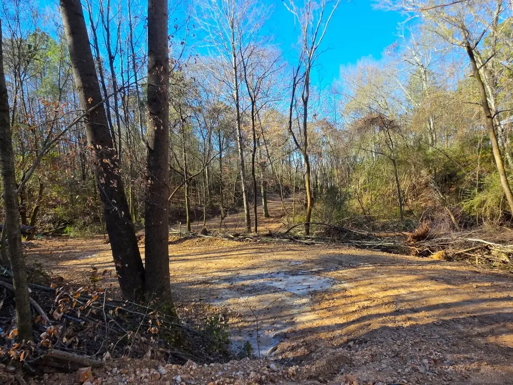 0 Lee Street Blountsville AL 35013