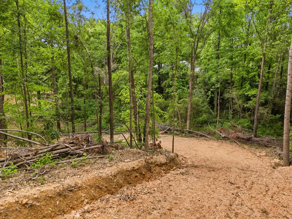 0 Lee Street Blountsville AL 35013