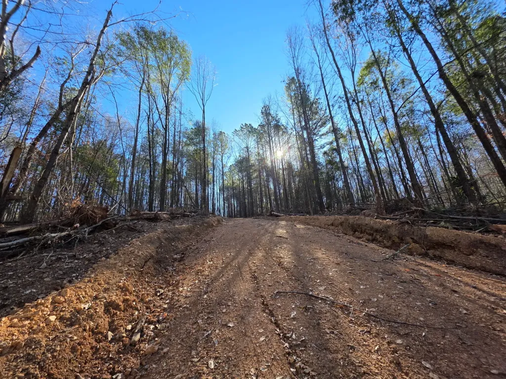 0 Lee Street Blountsville AL 35013