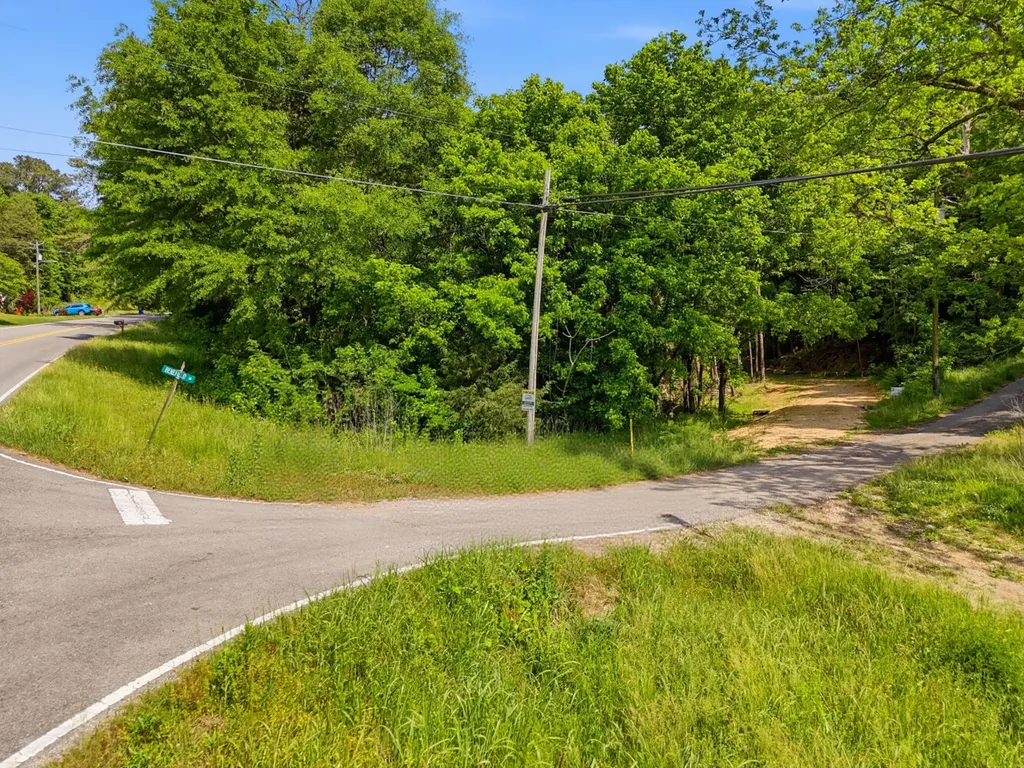 0 Lee Street Blountsville AL 35013