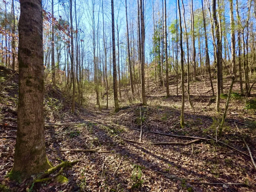 0 Lee Street Blountsville AL 35013