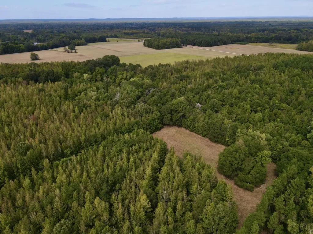 0 Upper Hull Road Moundville AL 35474