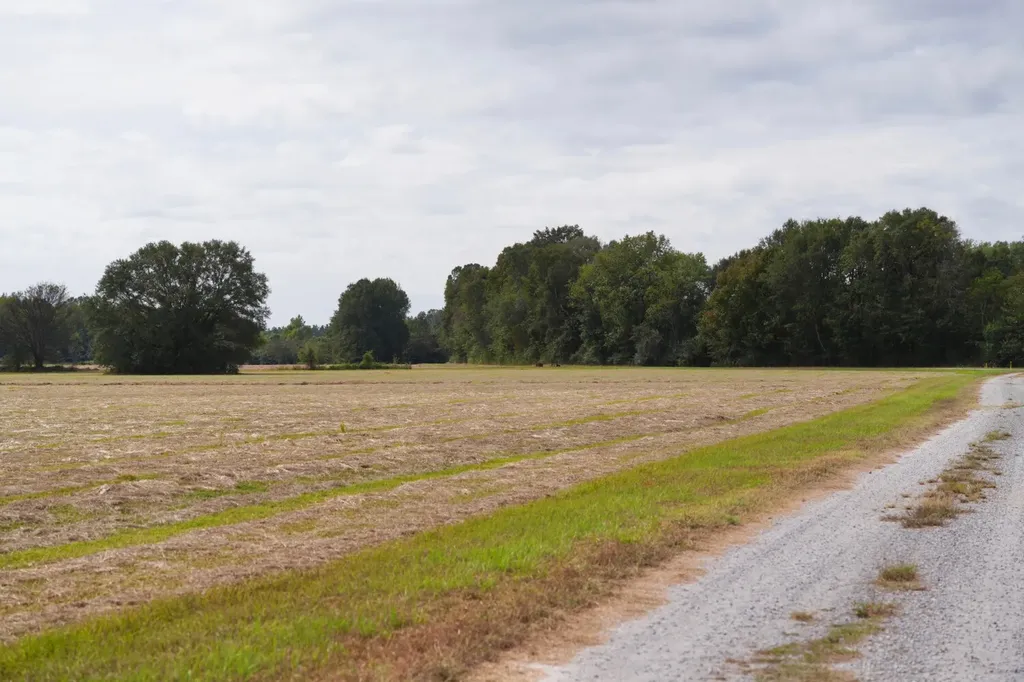 0 Upper Hull Road Moundville AL 35474