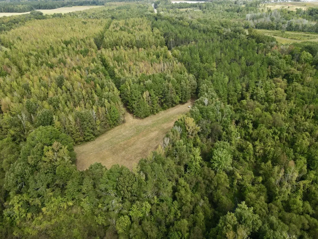0 Upper Hull Road Moundville AL 35474
