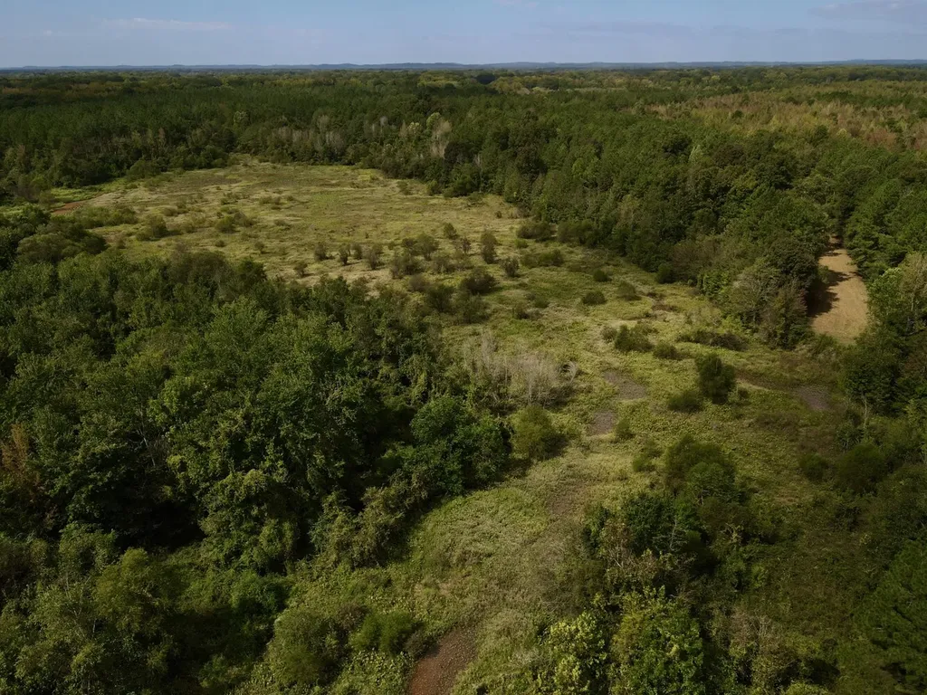 0 Upper Hull Road Moundville AL 35474