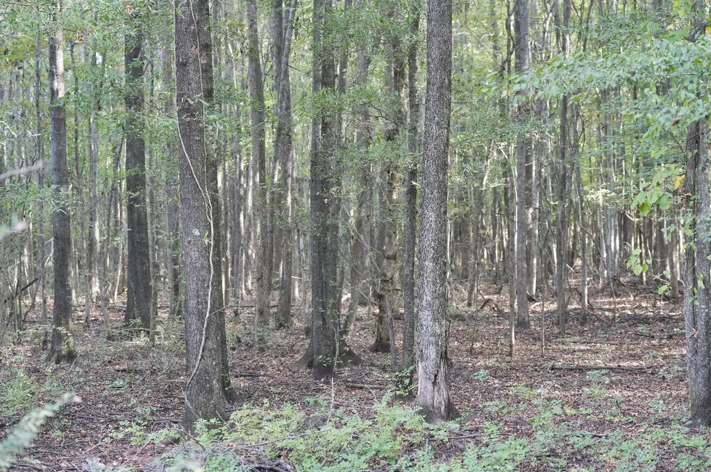 0 Upper Hull Road Moundville AL 35474