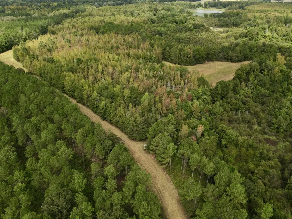 0 Upper Hull Road Moundville AL 35474